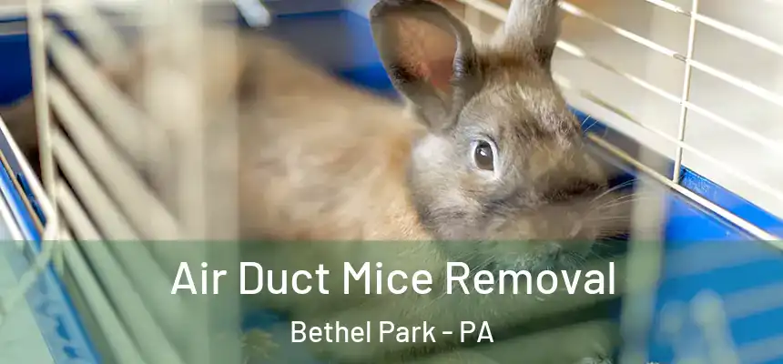 Air Duct Mice Removal Bethel Park - PA