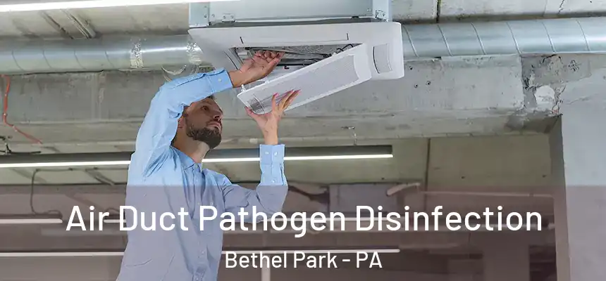 Air Duct Pathogen Disinfection Bethel Park - PA
