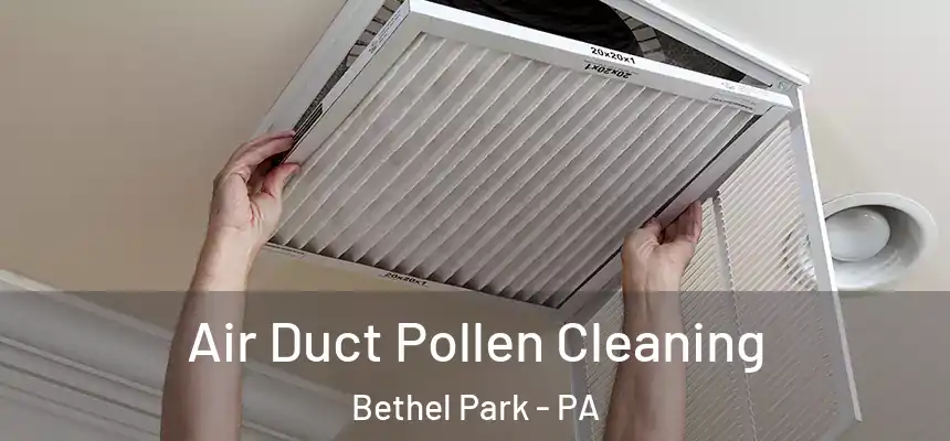 Air Duct Pollen Cleaning Bethel Park - PA