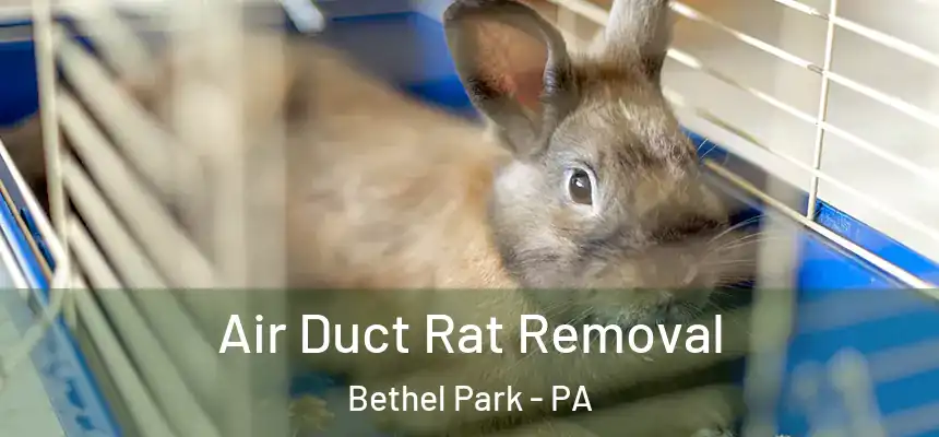 Air Duct Rat Removal Bethel Park - PA
