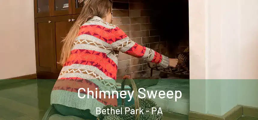  Chimney Sweep Bethel Park - PA