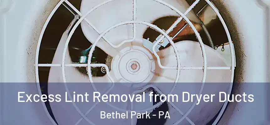 Excess Lint Removal from Dryer Ducts Bethel Park - PA