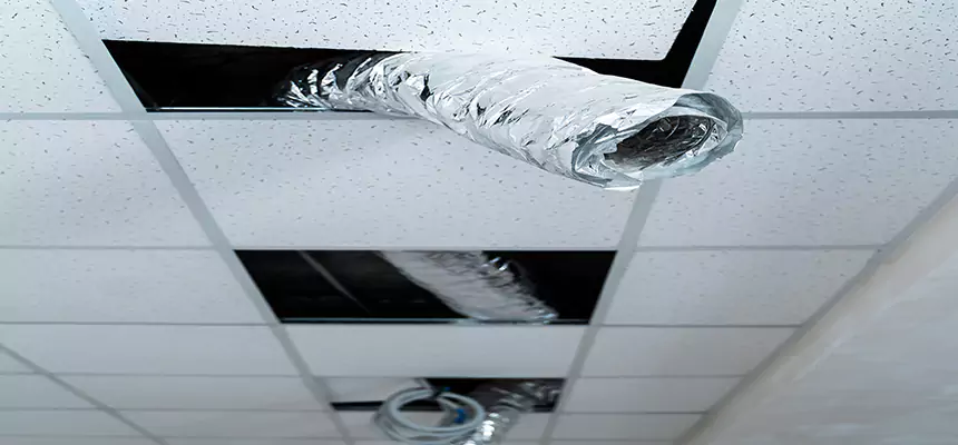 Our Air Duct Pet Hair Removal Services in Bethel Park, PA