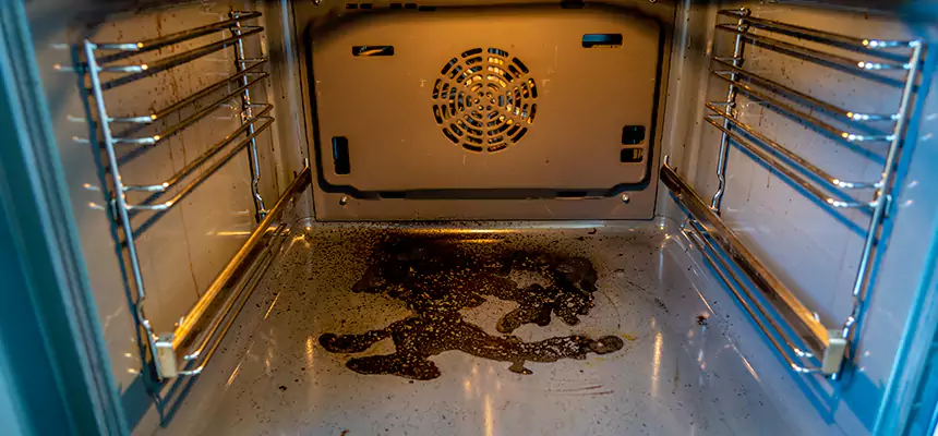 Our Dryer Vent Mold Cleaning Services in Bethel Park, PA