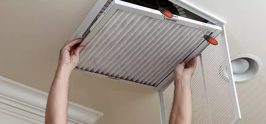 Our Insect Removal from Air Ducts Services in Bethel Park, PA