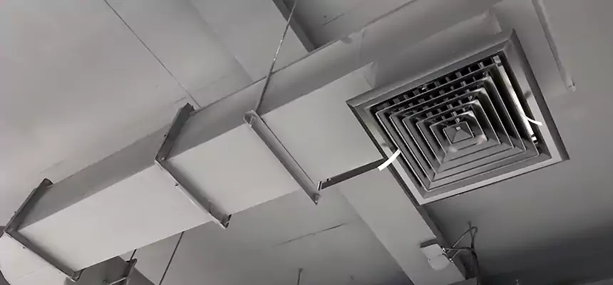 Our Pest Removal From Ducts Services in Bethel Park, PA