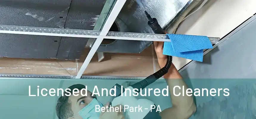  Licensed And Insured Cleaners Bethel Park - PA