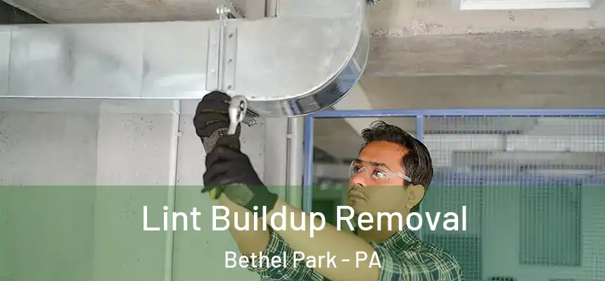  Lint Buildup Removal Bethel Park - PA