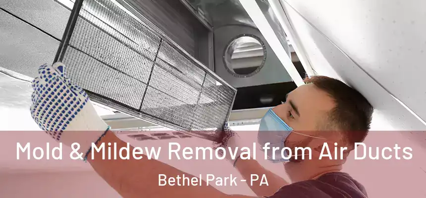  Mold & Mildew Removal from Air Ducts Bethel Park - PA