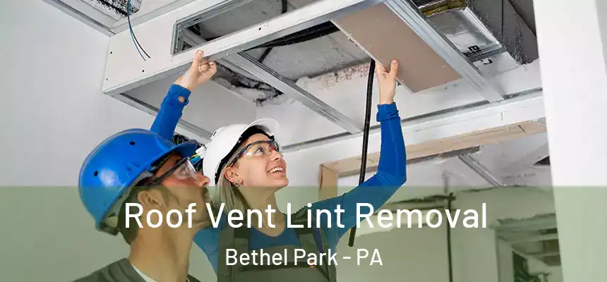  Roof Vent Lint Removal Bethel Park - PA