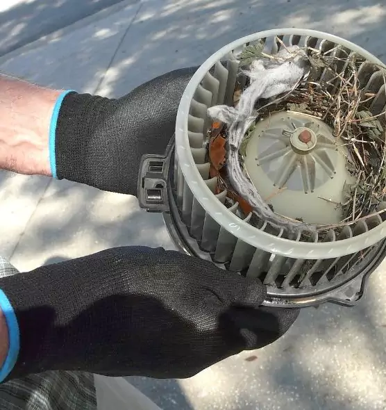 About Air Duct Mice Removal in Bethel Park, PA